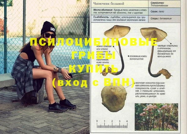 трава Алексеевка